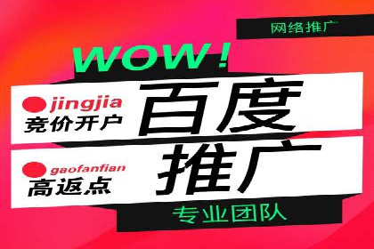 详解托管SEM竞价案例：精准定位客户群体